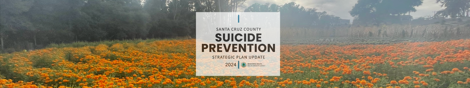 2024 Suicide Prevention Strategic Plan Update - Santa Cruz County